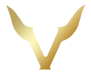 Vikings gradient logo